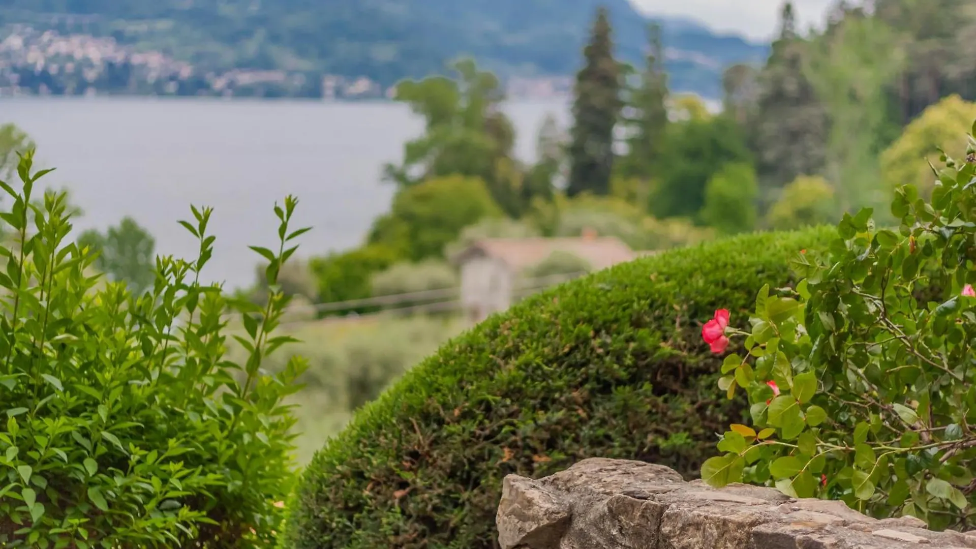 Ca' Maria Bellavista By Wonderful Italy Lejlighed Bellagio Italien